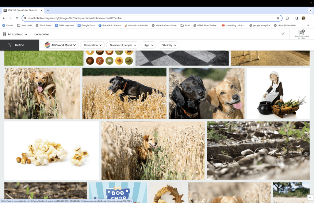 stock photo site image examples